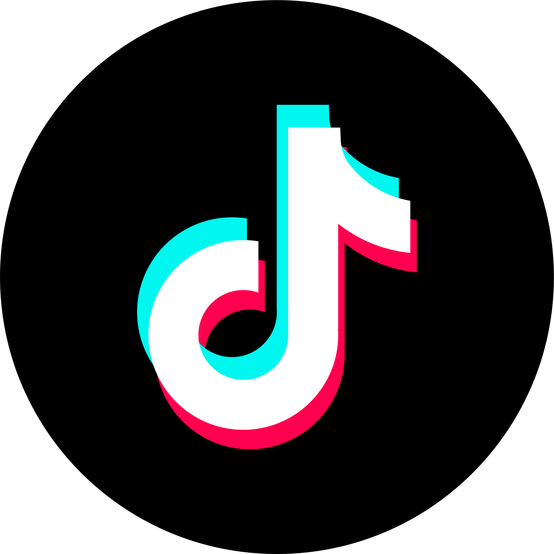 Tiktoklogo